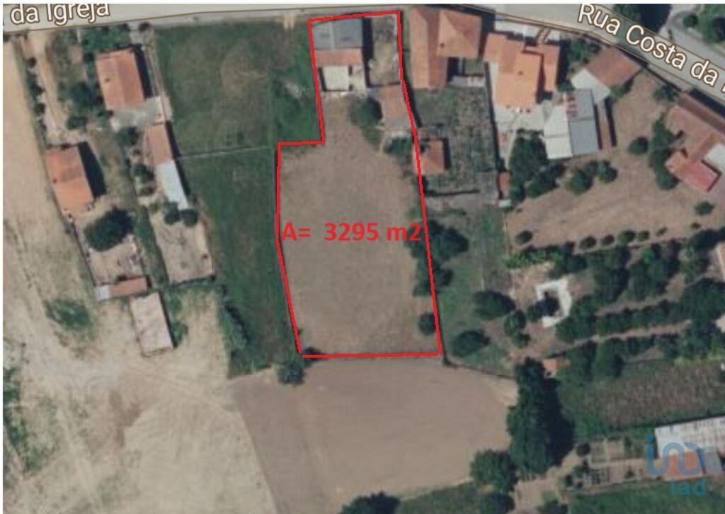 Aankoop: Terrein (3780)