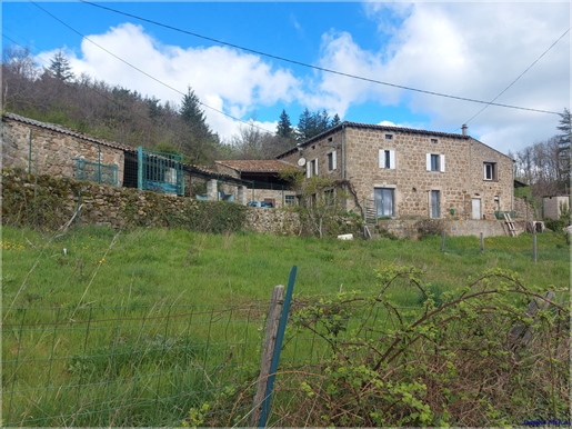 For sale 330000 € in Silhac: large house with outbuildings and land of more than one hectare
