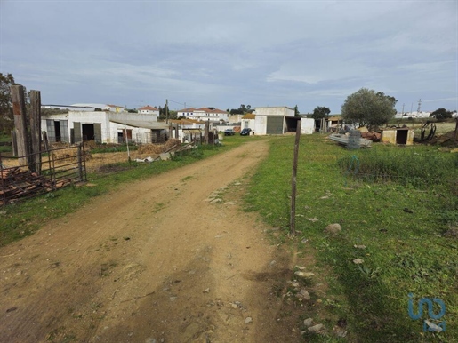 Tierra en el Beja, Castro Verde