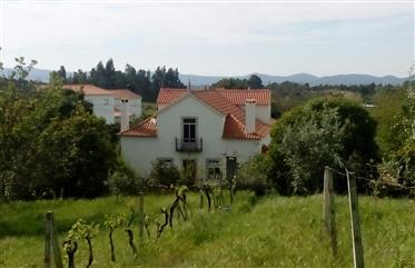 Beautiful imposing estate in central Portugal with 8454m2 of farmed land, with many fruit trees, oli
