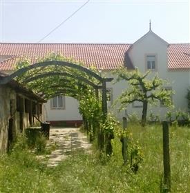 Lijepa impozantna nekretnina u središnjoj Portugalu sa 8454m2 uzgojene zemlje, s mnogo voćaka, Oli