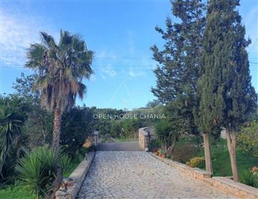 A Detached House Of 185 Sq.M. In A Large Private Plot In Kounoupidiana