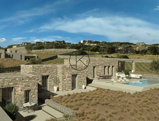 Bioclimatic villa 'Irigoni' with Aegean sea view