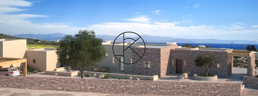 Bioclimatic villa 'Semeli' with Aegean sea view