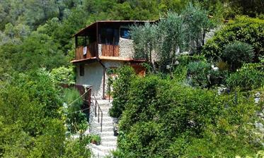 Charming house on the river near to Menton