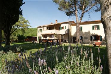 Farmhouse or Agriturismo with stunning views over Arezzo