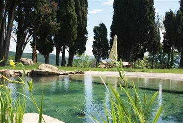 Farmhouse or Agriturismo with stunning views over Arezzo