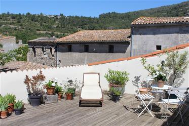 Beautiful Lagrasse village house with gallery