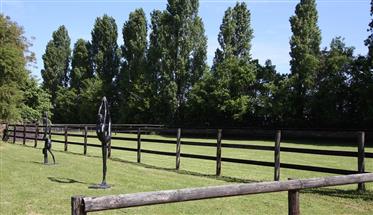 Exceptional Equestrian property in the heart of the Seine et Marne
