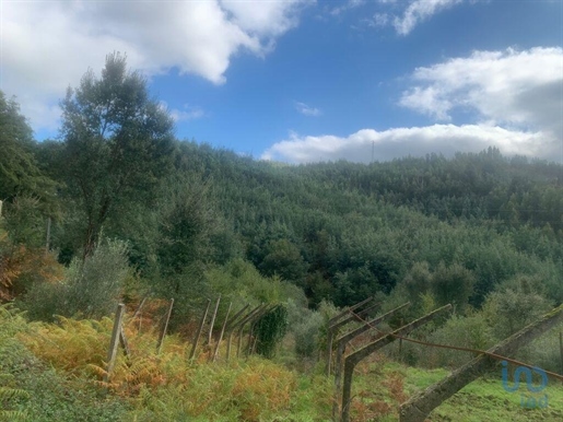 Construction land in Pedrógão Grande