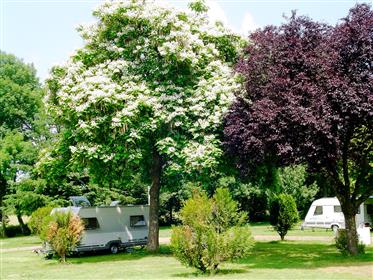 Camping plats/restaurang i Bourgogne (Portes de Morvan)