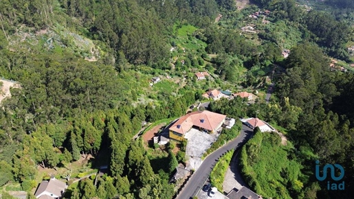 Quinta T4 em Madeira de 960,00 m²