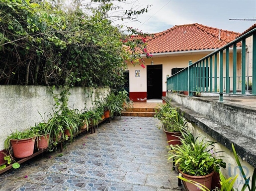 Dorfhaus in Santana, Madeira