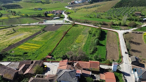 Terra a Valpaços, Vila Real