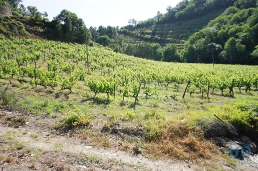 Tierras agrícolas en el Vila Real, Santa Marta de Penaguião