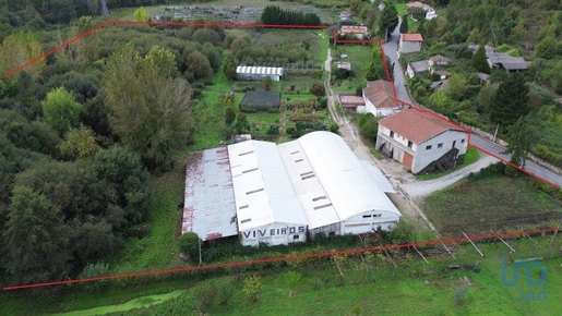 Fifth in Vila Real with 38397,00 m²
