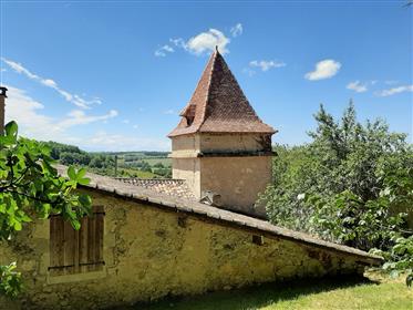 Proprietatea de vis și site-ul excepționale în inima celei mai frumoase regiuni de Gers/Gascony