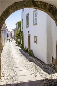 Odlična vila u gradu Rua do Castelo-dvorac Arvão