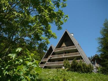 Penthouse duplex in the Vaud Alps