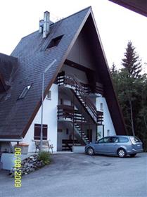 Penthouse duplex in The Vaud Alps