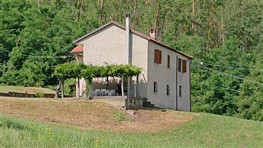 House in Piedmont 