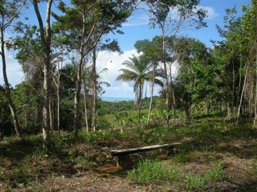 Projektové lesy a mořské pozemky 