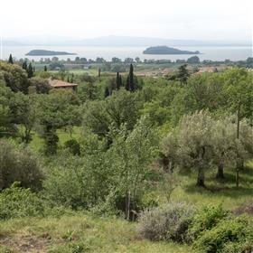 Gamle bondegård i grønne områder med han største udsigt over søen Trasimeno.