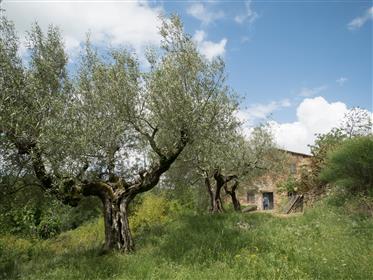 Old Farmhouse in greenery with he greatest view on the Lake Trasimeno.