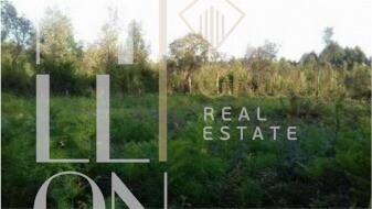 Compra: Terreno (4410)