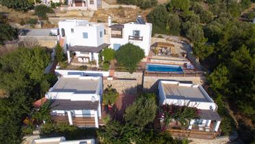 Beautiful property with its villa and 3 guest houses 