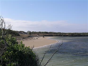 15 km från Diego-Suarez: 5 hektar strand, sanddyner, skog