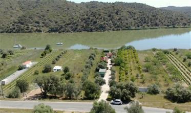 Bungalow on the Guadiana River