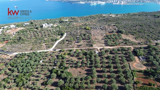 473333 - Pozemok/pole na predaj v Akrotiri, 6 684 m², 185 000 €