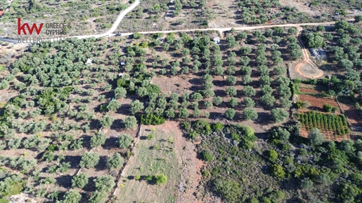 473333 - Pozemok/pole na predaj v Akrotiri, 6 684 m², 185 000 €
