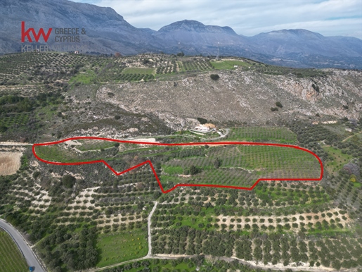 Land plot For sale in Avgeniki 20.365 sq.m., €530.000