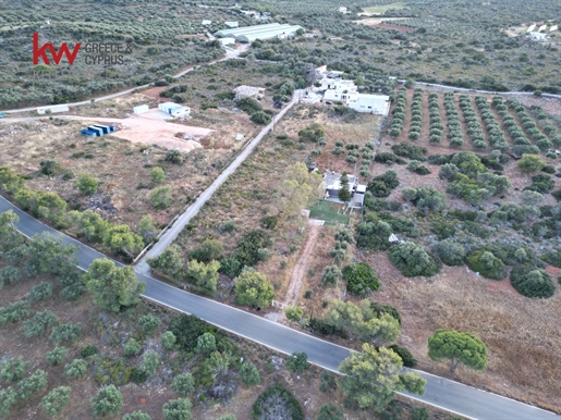 869550 - Terrain à vendre à Agia Triada, Akrotiri, 4 100 m², 115 000 €