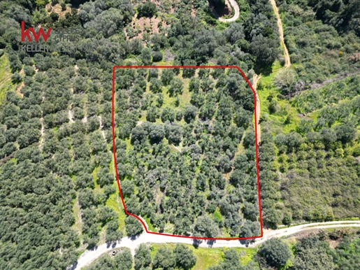 848130 - Grundstück zum Verkauf in Platanias, 5.236,02 m², 95.000 €