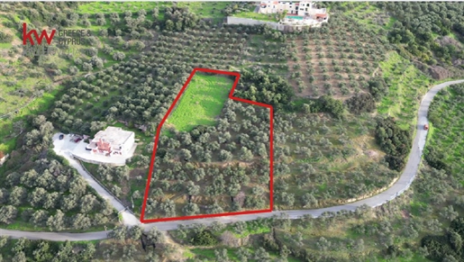 720403 - Land plot For sale, Nea Kidonia, 4.132 sq.m., €100.000