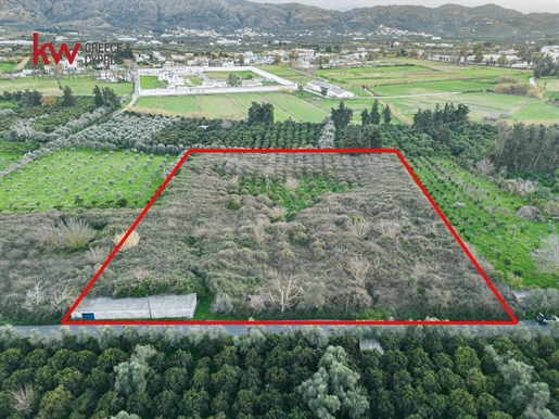 695704 - Land plot For sale, Nea Kidonia, 10.801 sq.m., €265.000