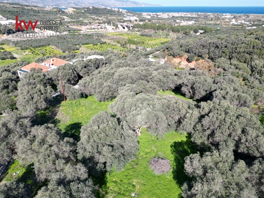 720617 - Land plot For sale in Vlacheronitissa, Platanias, 17.500 sq.m., €900.000