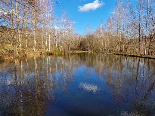 Dpt Bas-Rhin (67), à venda perto de Schirmeck Propriedade P6 + Fazenda autêntica Lorena 1,5 ha lago