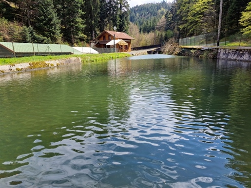 Dpt Bas-Rhin (67), for sale near Saales property P5 with Chalet T5 + Party Hall + Pond / land of 1 h