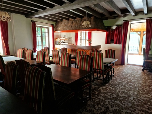 Dpt Vosges (88), for sale near Vittel rare Moulin on 2 hectares of land - to discover!