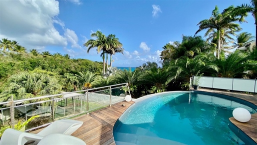 Superbe villa Vue Mer P6 plage à pied avec piscine et F2 sur 1200 m² de terrain clos et arboré