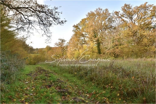 Dpt Loiret (45), for sale Sologne De L'est Hunting and leisure property of 30 hectares with Resident