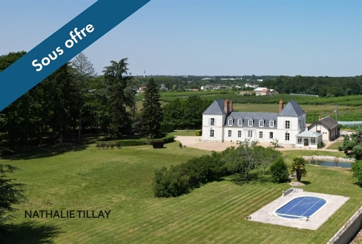 For sale Orleans-SAINT Jean De Braye castle property