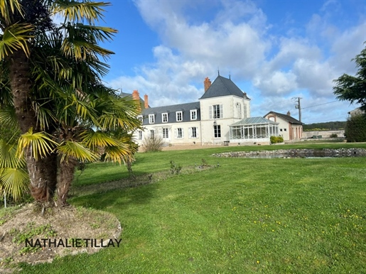 En venta propiedad castillo Orleans-SAINT Jean De Braye