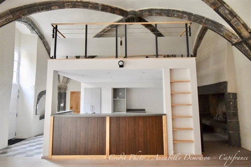 Dpt Puy de Dôme (63), à vendre Riom appartement loft T6 de 160 m²