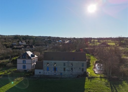 Dpt Allier (03), zu verkaufen in der Nähe von Moulins - Herrenhaus und umgebaute Mühle von 667 m2 -