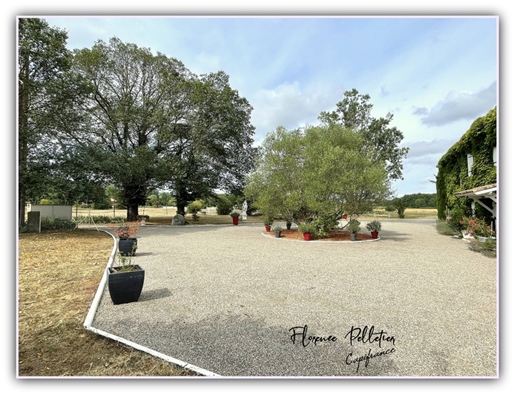 For sale old renovated equestrian farm - gîte P10 250 m² - Land of 11,000 m² Tarn (81)